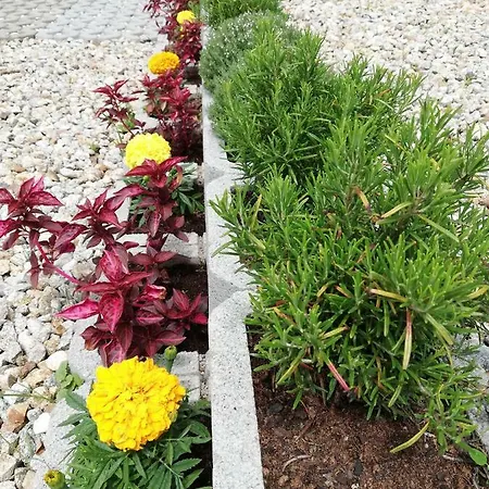 Tatry * Vel'ka Lomnica